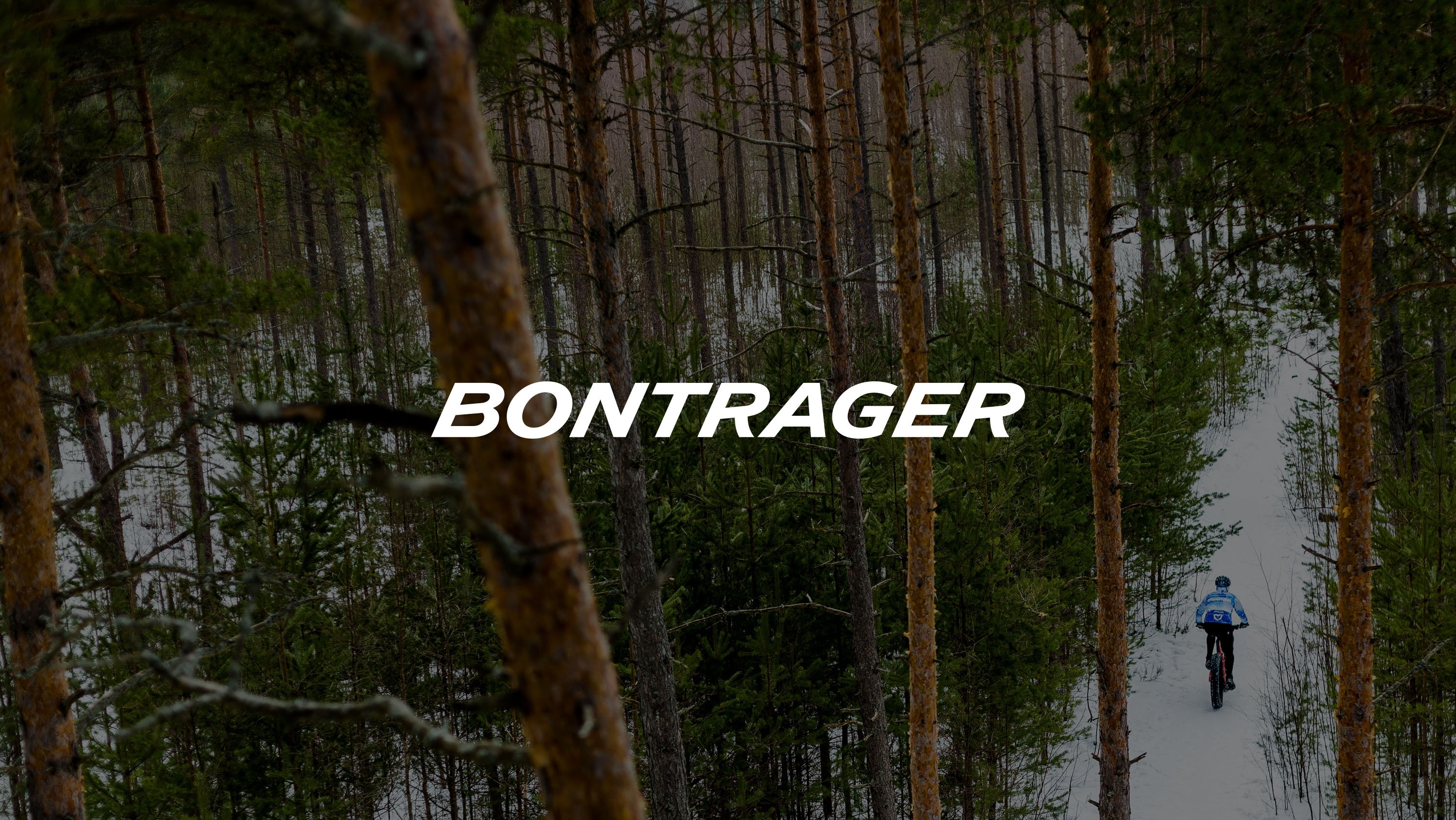 new wordmark cover image