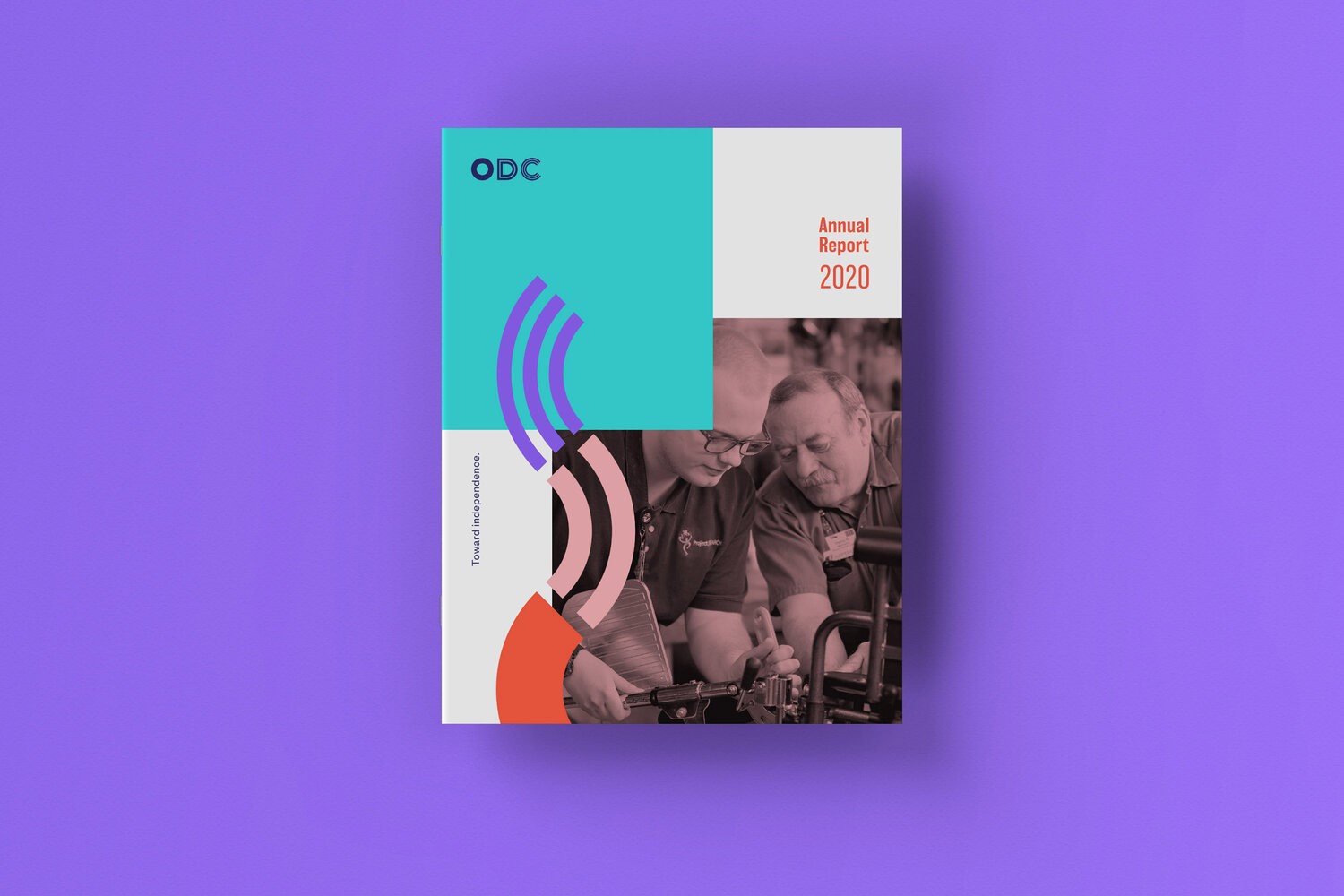 ODC annual report